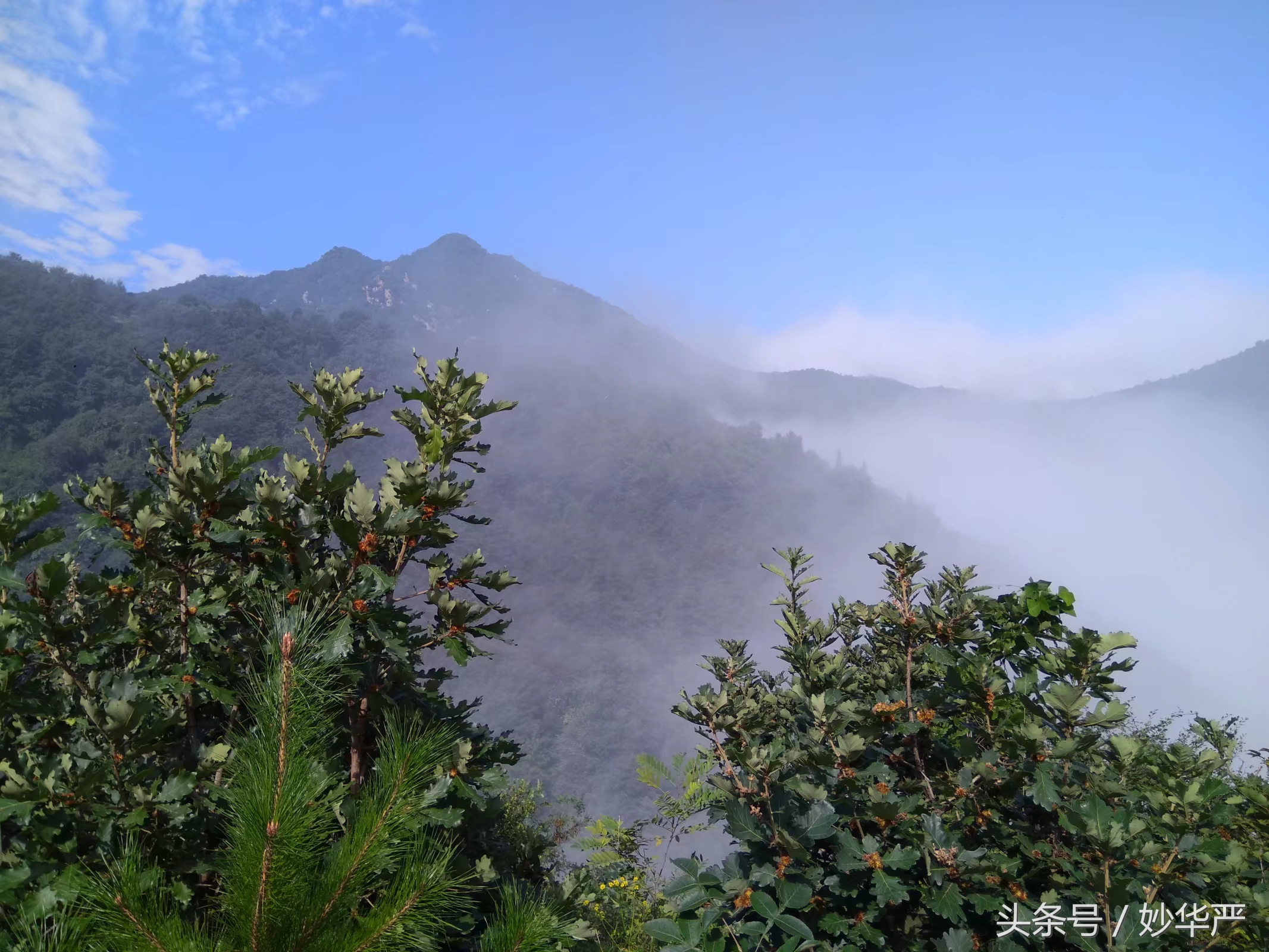 终南山为什么是隐居的好地方,终南山为什么会成为隐居圣地