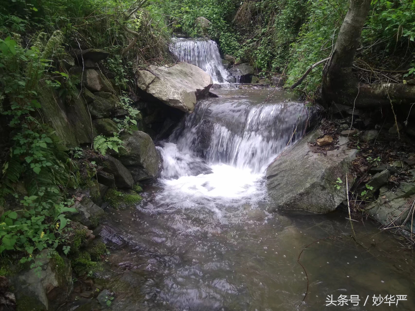 终南山为什么是隐居的好地方,终南山为什么会成为隐居圣地