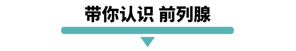 每一个男人都可能会犯的错误,每个男人都有一个毛病