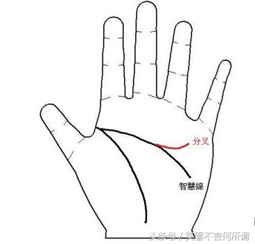 教你通过手纹怎么看财运超准！