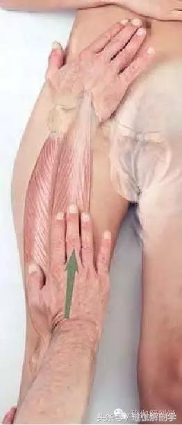 瑜伽大腿前侧,大腿内侧紧的瑜伽动作图解