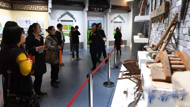 小站稻来源,小站稻是稻米还是粳米