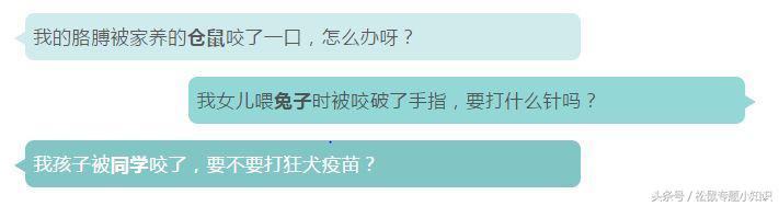 被小松鼠咬破皮要不要打针,让小松鼠咬了咋办