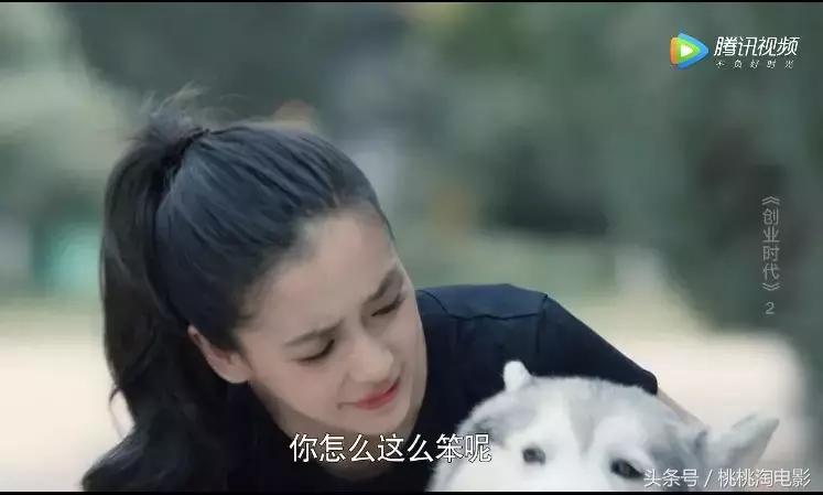 创业时代为什么打官司,创业时代谁是坏的