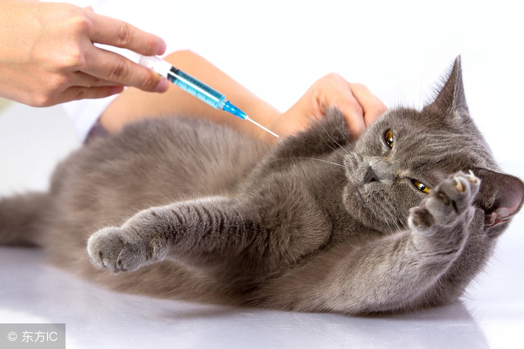 男生最吃香的十大手艺是哪些行业,未来吃香的十大职业大专男生