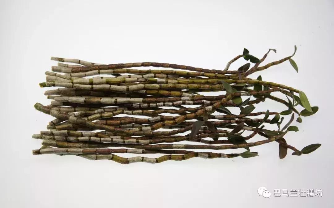道地药材广西产的什么最好,广西传统道地药材