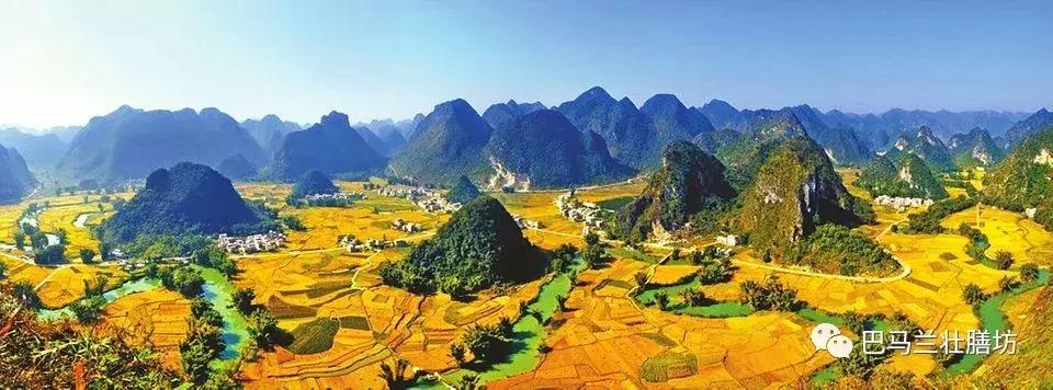 道地药材广西产的什么最好,广西传统道地药材