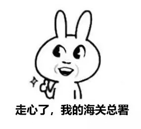 海关扣押的化妆品都是怎么处理的,被海关扣下的东西他们怎么处理