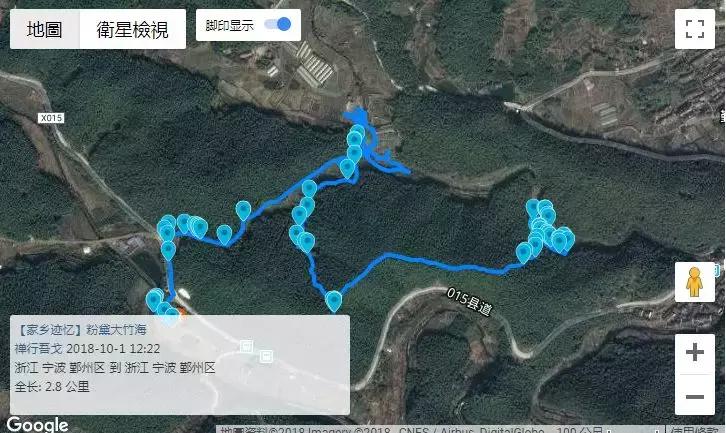 网红草的拍摄视频,最美网红草