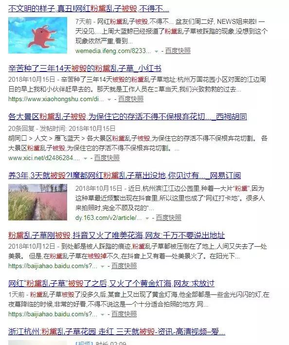 网红草的拍摄视频,最美网红草