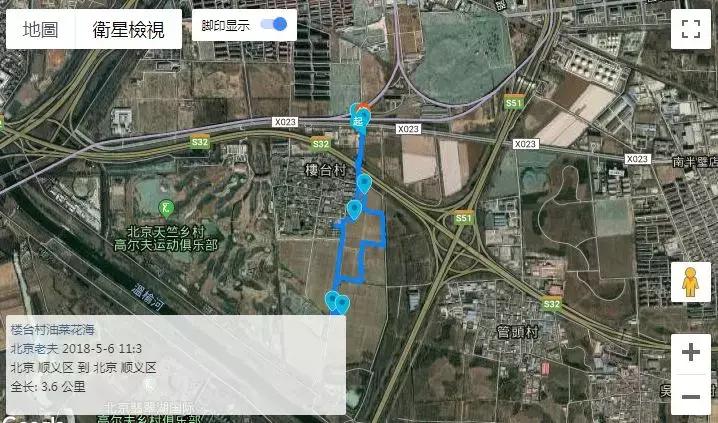 网红草的拍摄视频,最美网红草