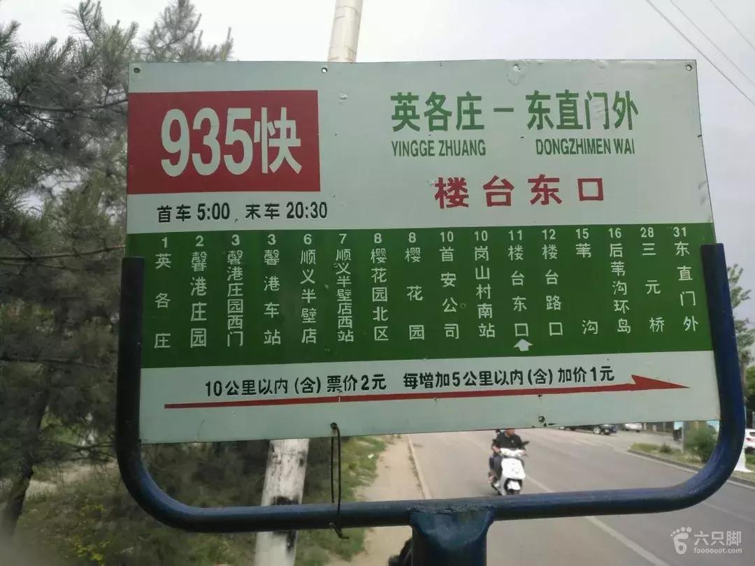 网红草的拍摄视频,最美网红草