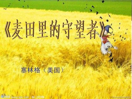 麦田里的守望者原创视频,麦田里的守望者创作的原声