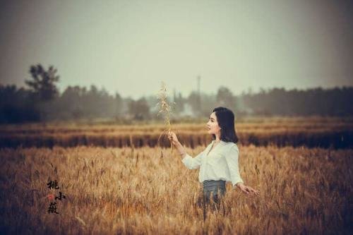 麦田里的守望者原创视频,麦田里的守望者创作的原声