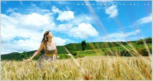 麦田里的守望者原创视频,麦田里的守望者创作的原声