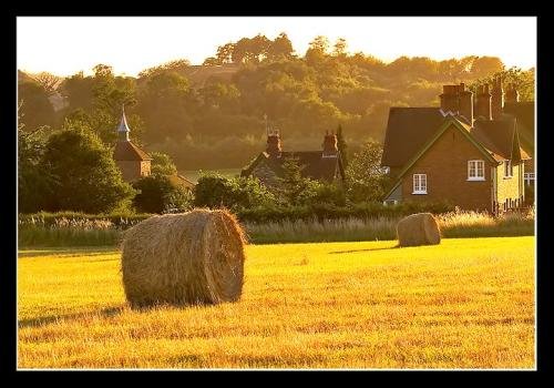 麦田里的守望者原创视频,麦田里的守望者创作的原声