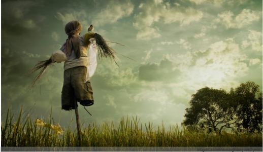 麦田里的守望者原创视频,麦田里的守望者创作的原声