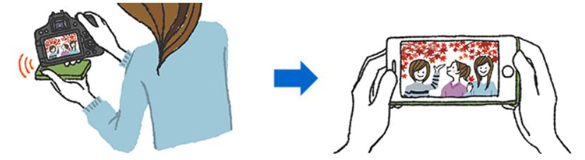 单反新手买什么镜头,佳能750d搭配哪个镜头好一点