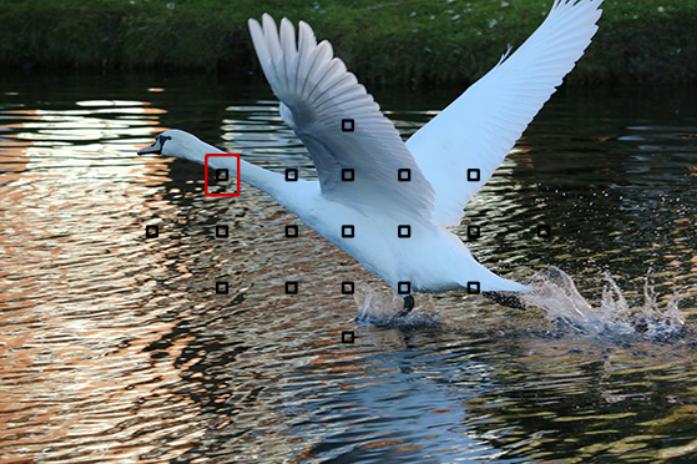 单反新手买什么镜头,佳能750d搭配哪个镜头好一点