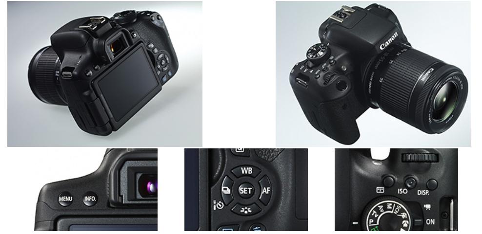 单反新手买什么镜头,佳能750d搭配哪个镜头好一点