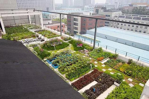 中国绿色生态建筑案例,我国绿色建筑优秀案例