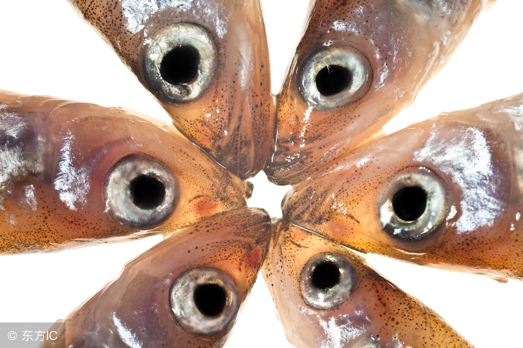 天津特产都有啥,天津的著名特产有哪些