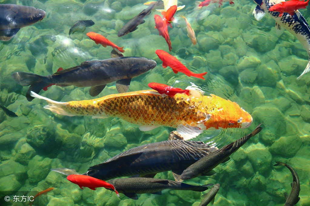 天津特产都有啥,天津的著名特产有哪些