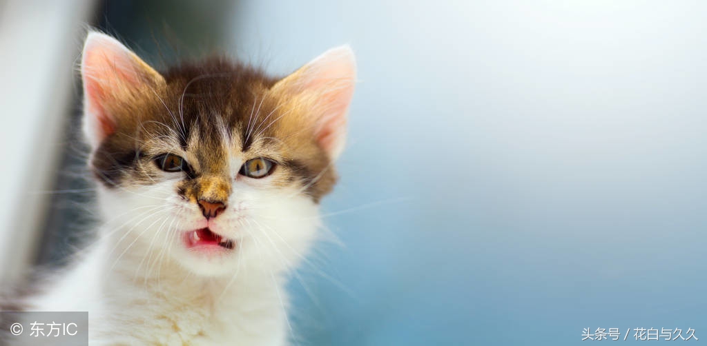 生气的时候看什么都不顺眼,生气的时候我们浑身是刺