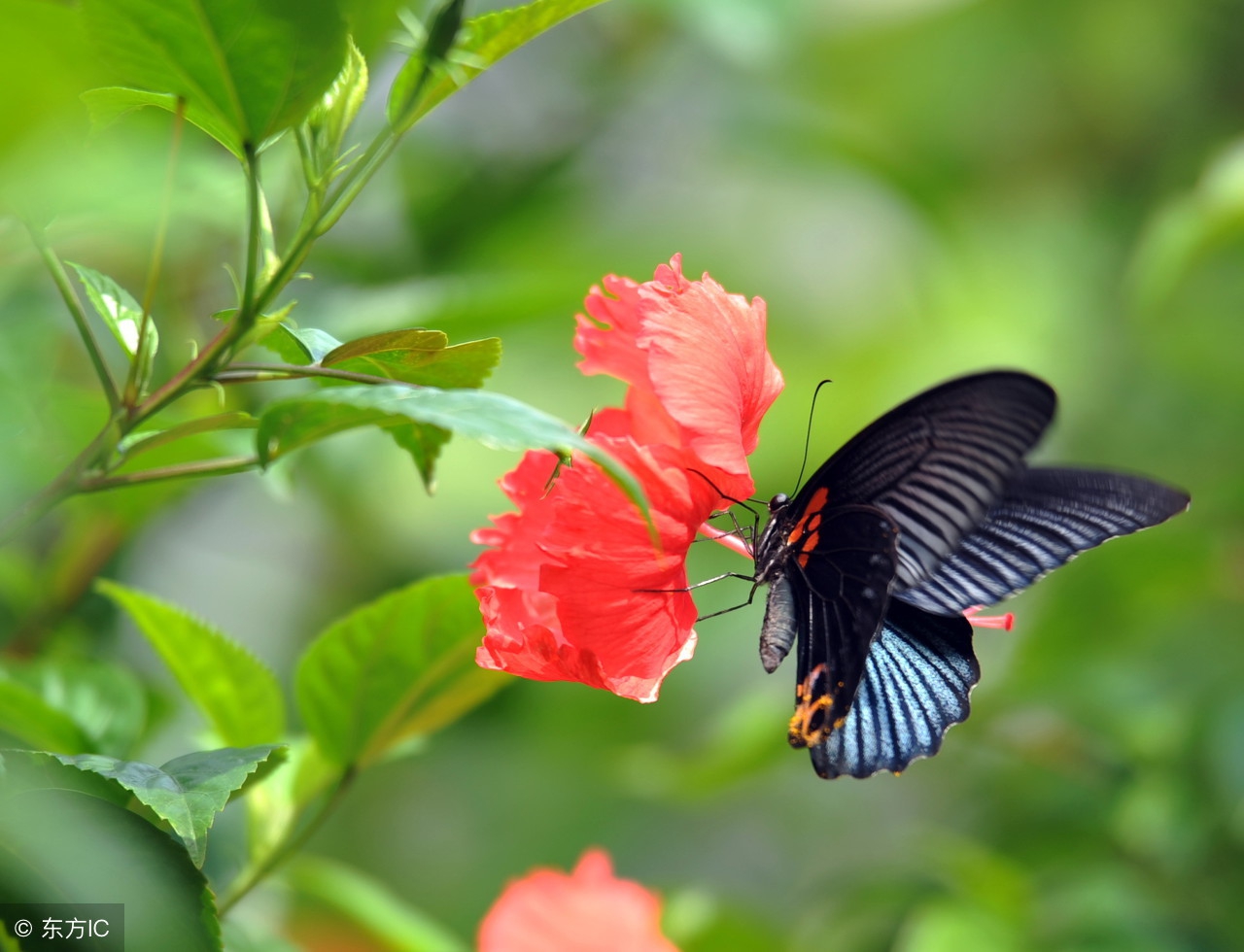 幼师做好幼儿园冬季户外活动的8个方法