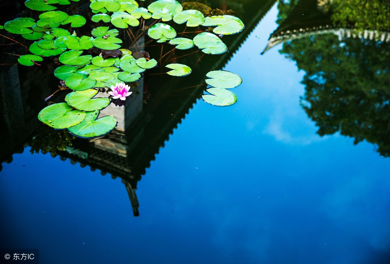 林清玄最好的十篇散文,林清玄散文这本书的推荐理由