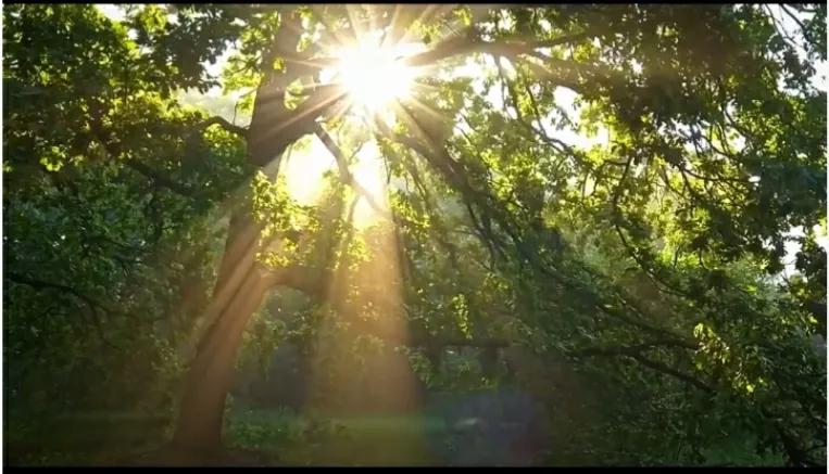 在大山深处迷路了,在大山里迷路了报警怎么给警察说
