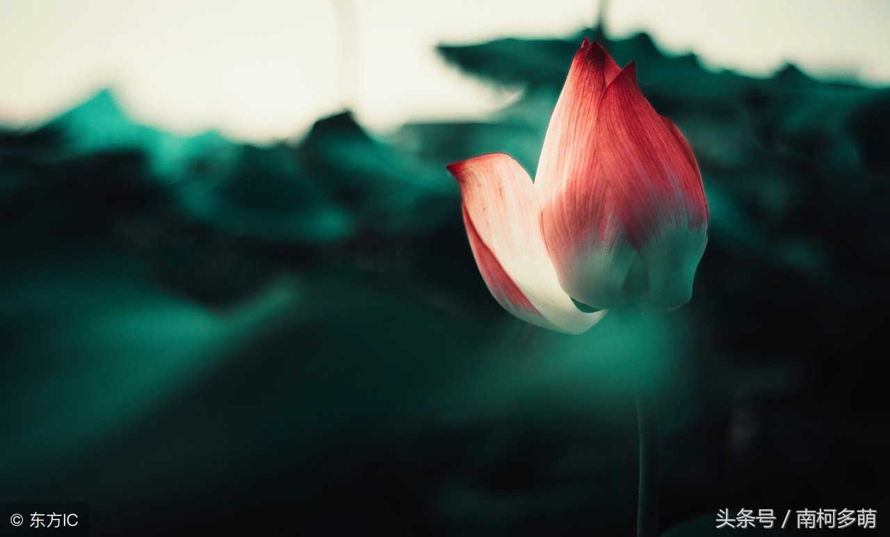 最具有意境美的对联,古今绝句对联100副