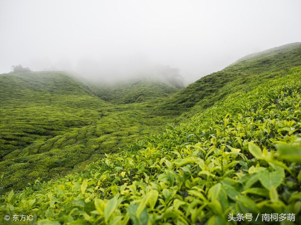 最具有意境美的对联,古今绝句对联100副
