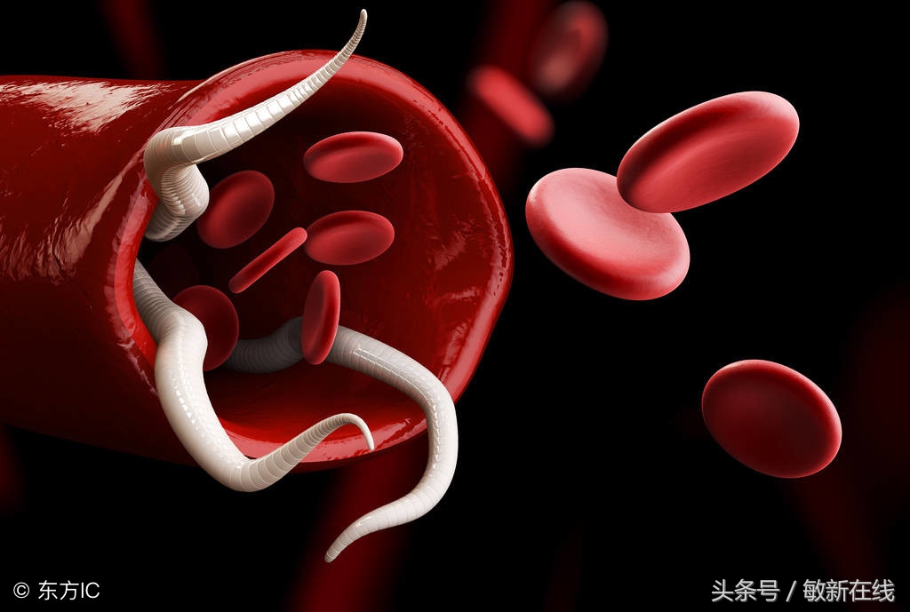 老烟鬼戒烟视频,老烟鬼戒烟真实感受