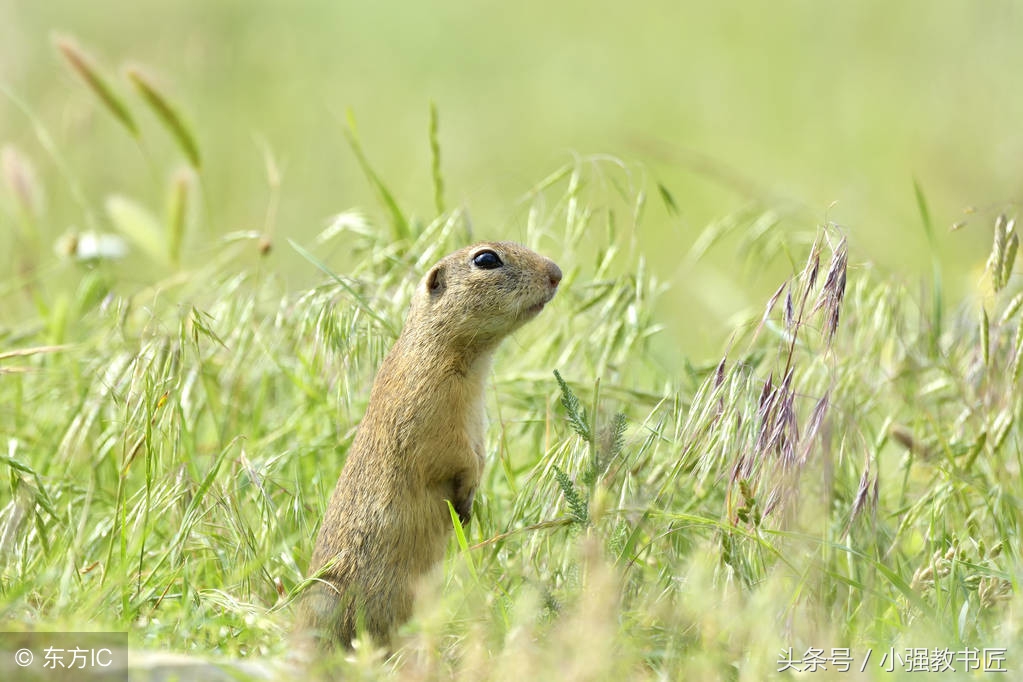 幼儿园招聘面试试讲导入,幼儿园面试10分钟试讲万能导入