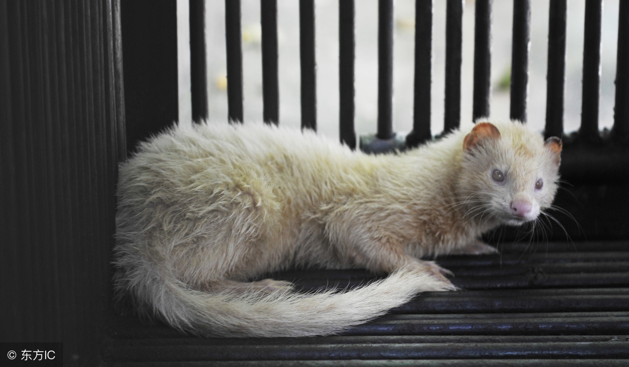 11则寓言故事，小故事中大道理，收藏起来讲给孩子听，受益一辈子