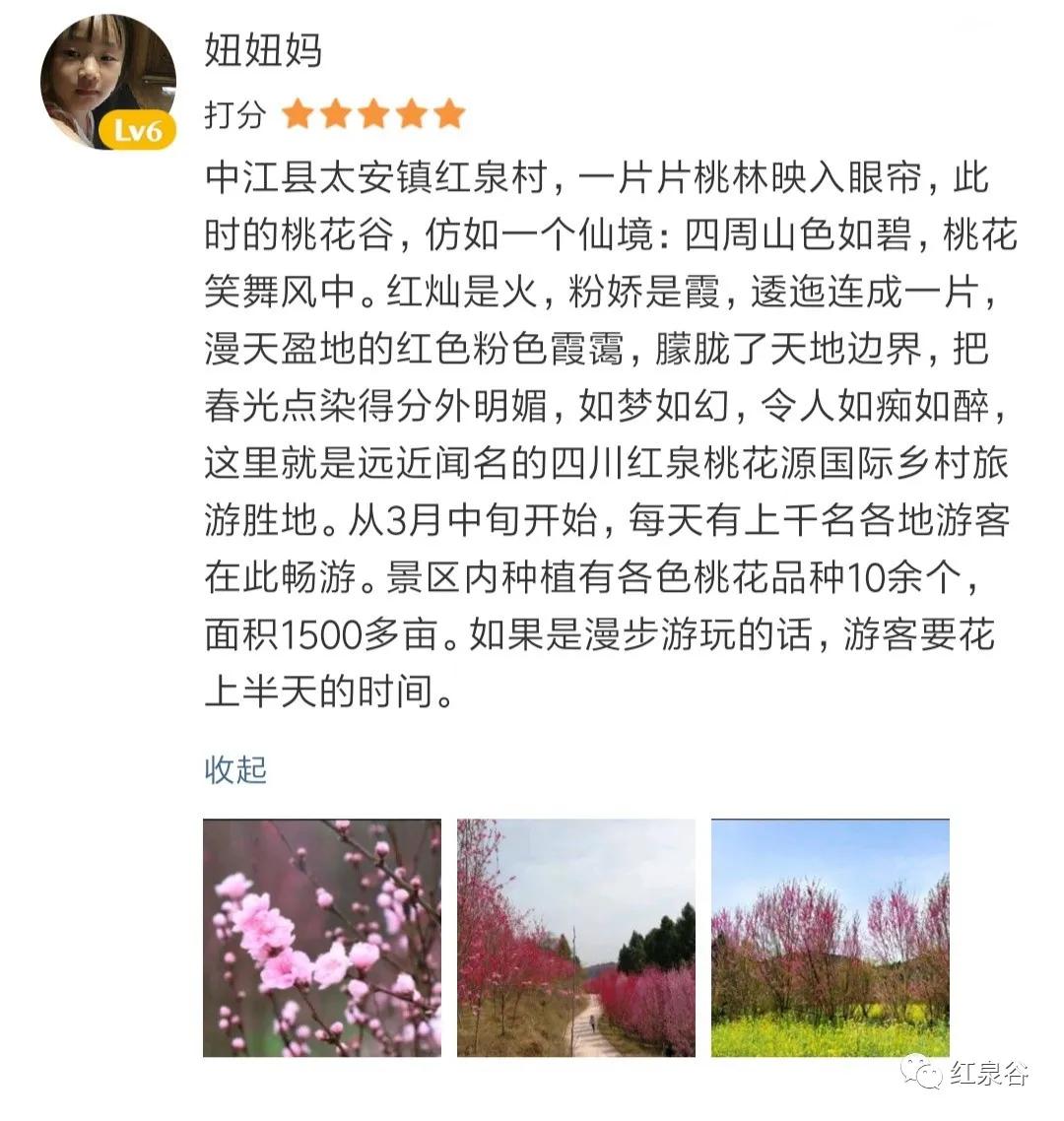 成都桃花花海,成都绕城周边花海