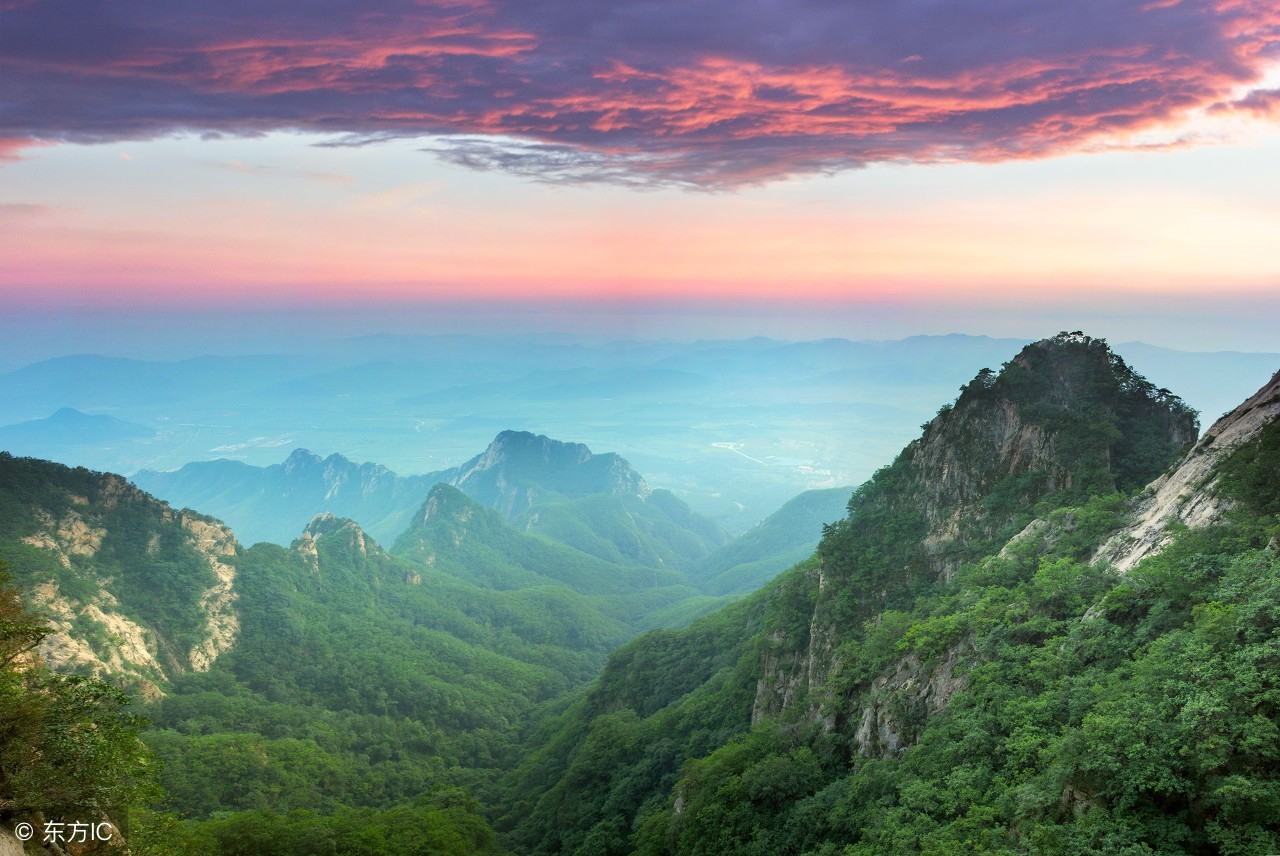 茶叶知识入门教学视频全集百度云,学茶全入门105种茶叶的品鉴