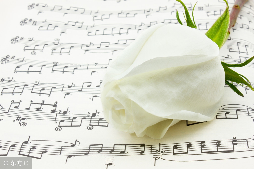 青春教会我的道理,那些充满哲理的歌词