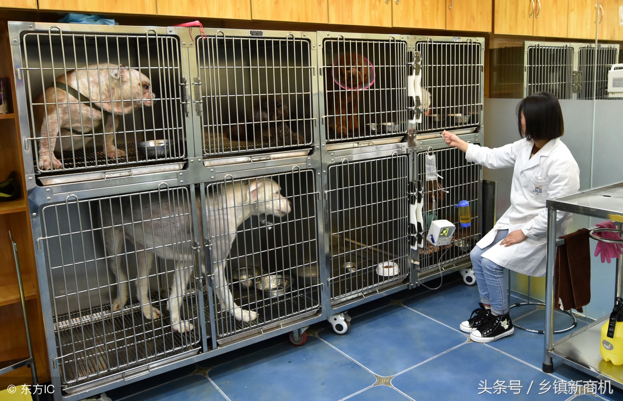 乡镇不起眼的暴利小生意大全,农村不起眼的商机2019