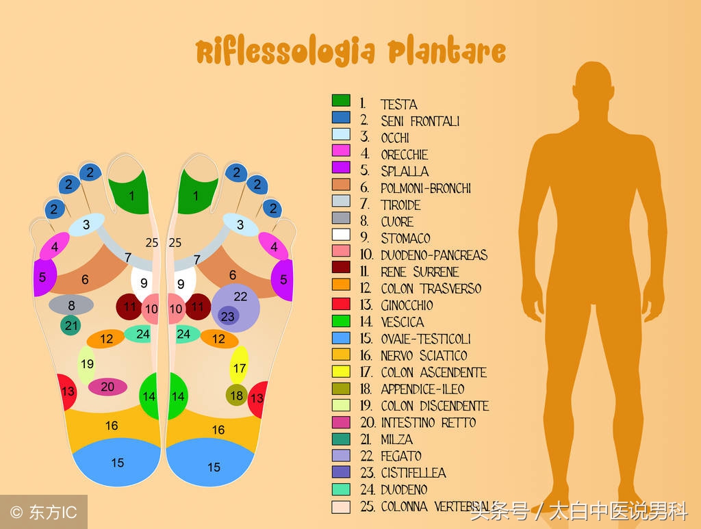 中医讲解不孕症论治,妇科讲座不孕症的病因病机是什么