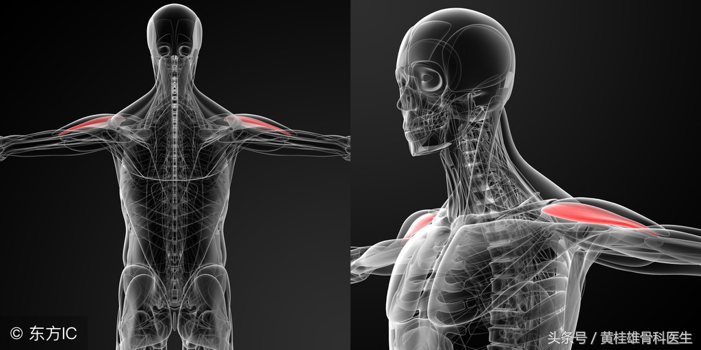 肌腱损伤康复手指,肌腱康复训练手指恢复