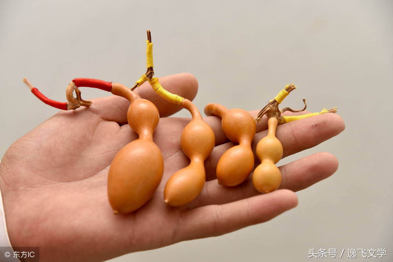 葫芦散文,有神奇葫芦的小说