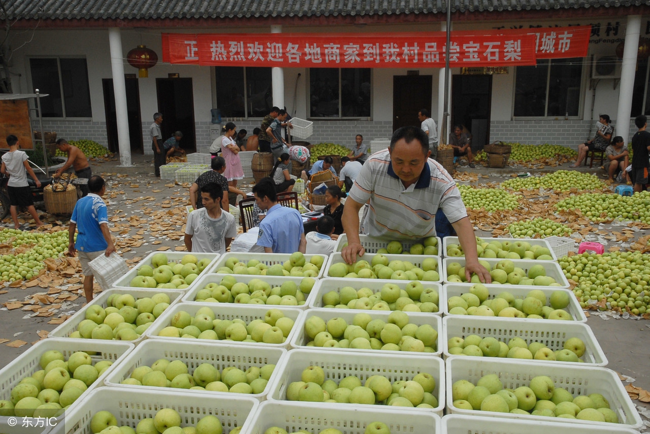 农户贷和创业贷可以一起申请吗,农业企业怎么申请贷款