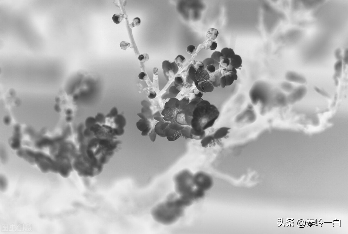 王冕是元朝末年的著名诗人与画家,元朝著名画家王冕的书画作品欣赏