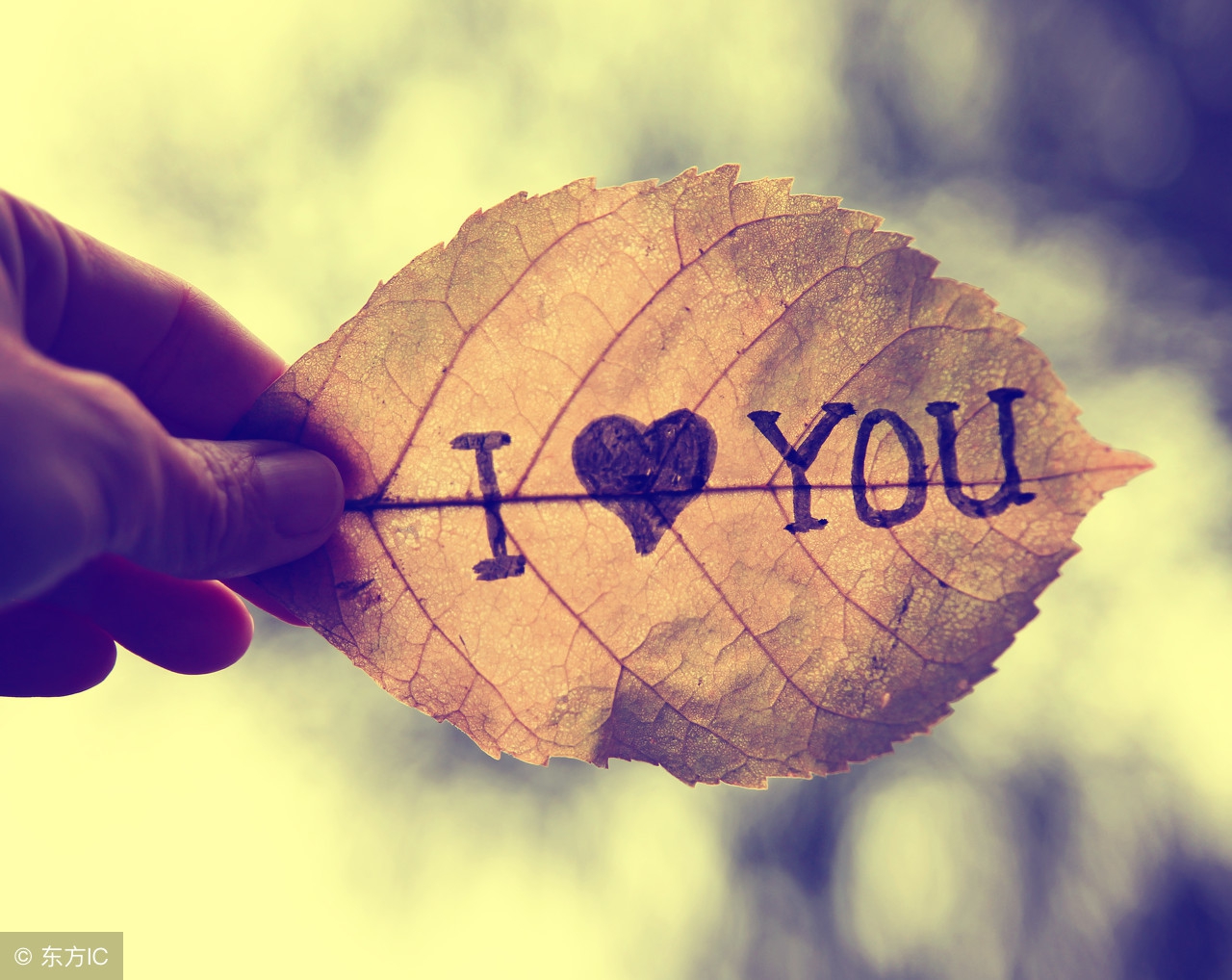 傻丫头,没了我,你怎么办……