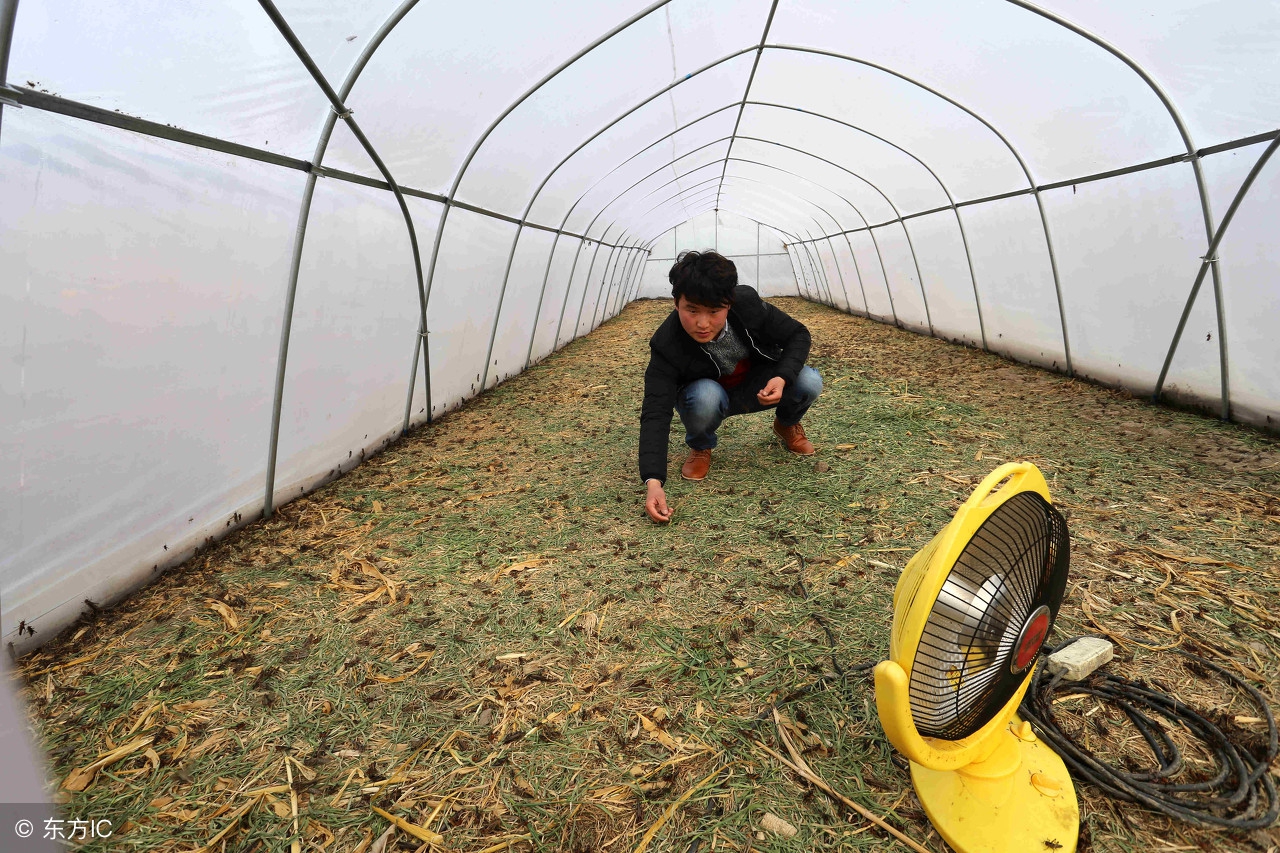 2018涓浗鍗佸ぇ閿﹂菠鎺掑悕,2018鍗佸ぇ缃戠粶鐑瘝閿﹂菠