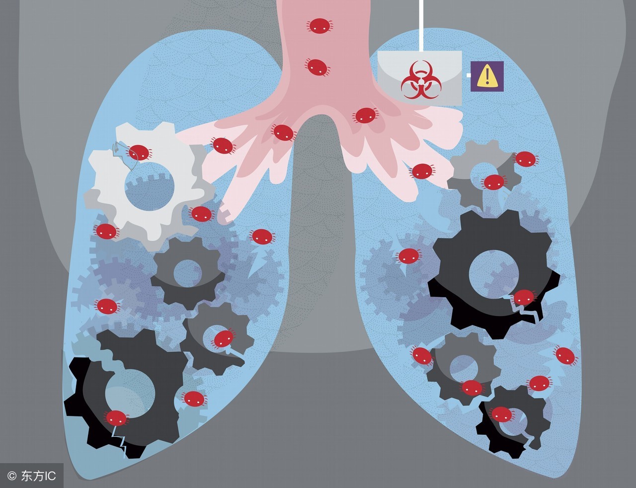 做好备孕孩子聪明健康,做优生优育检查需要注意什么