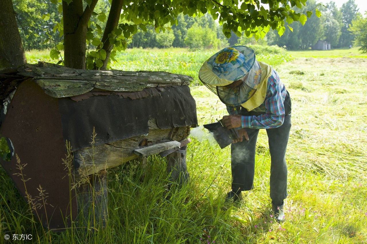 北京同仁堂生产的蜂蜜有什么,央视曝光十大假蜂蜜品牌