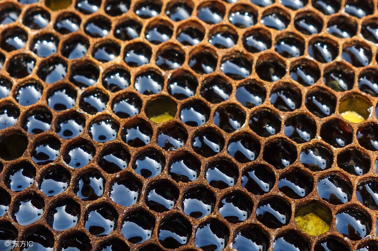 北京同仁堂生产的蜂蜜有什么,央视曝光十大假蜂蜜品牌